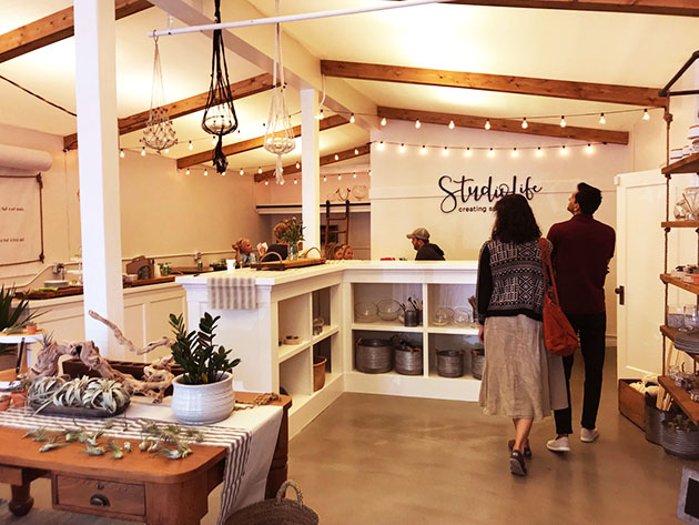 Interior of StudioLife shows plants and gifts on display